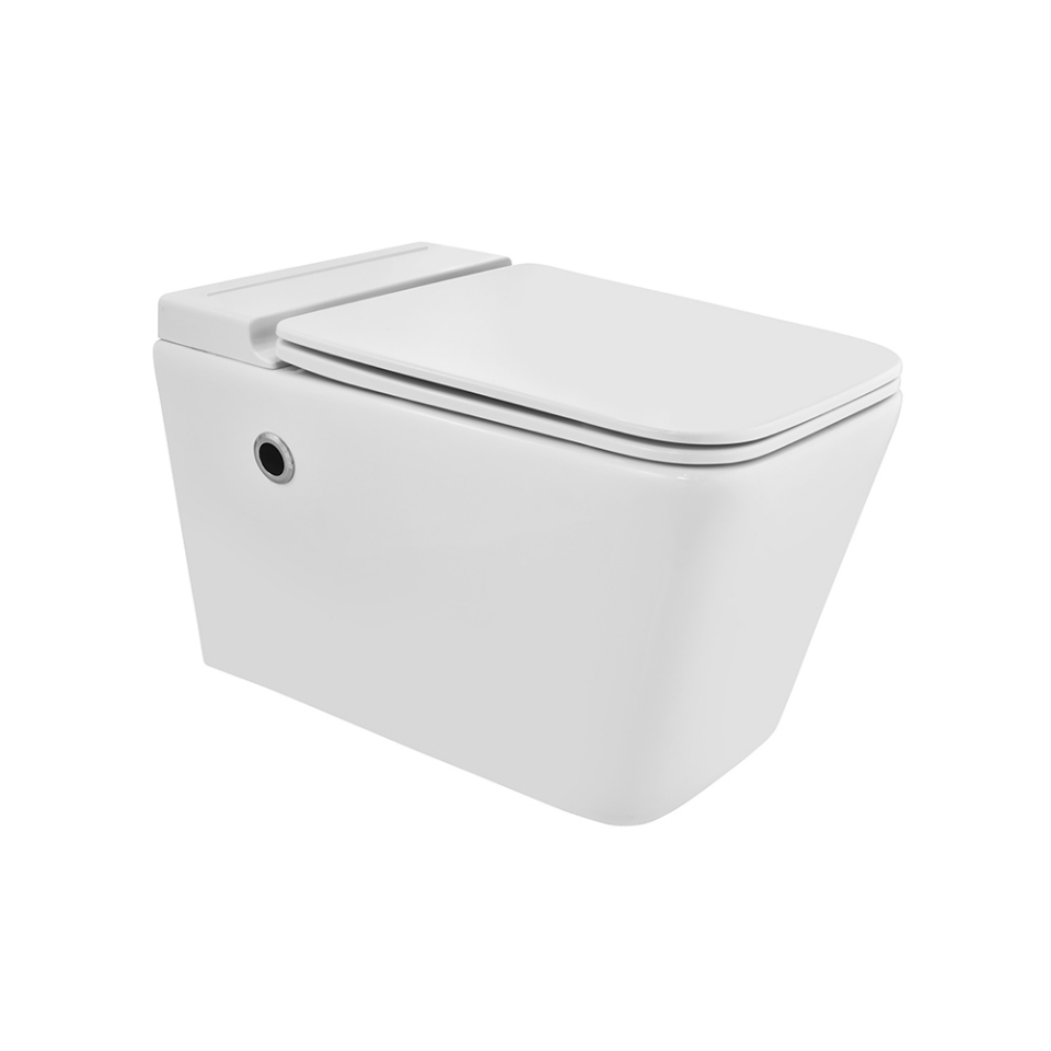 Tankless W.C